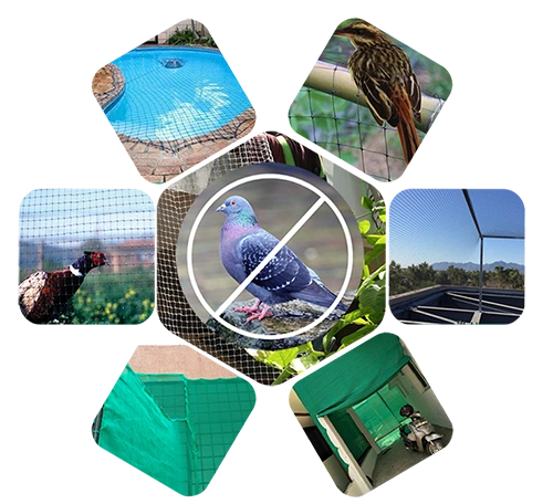 Manju Invisible Grills and Safety Nets in Hyderabad