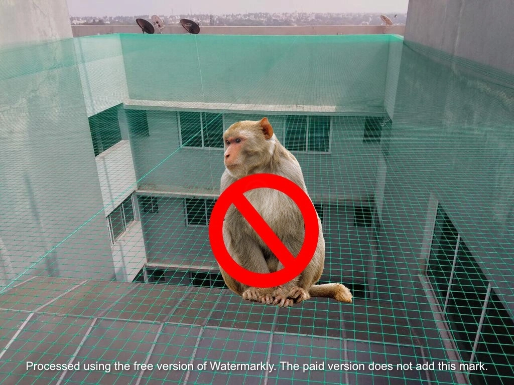 Monkey Safety Nets installation in Hyderabad